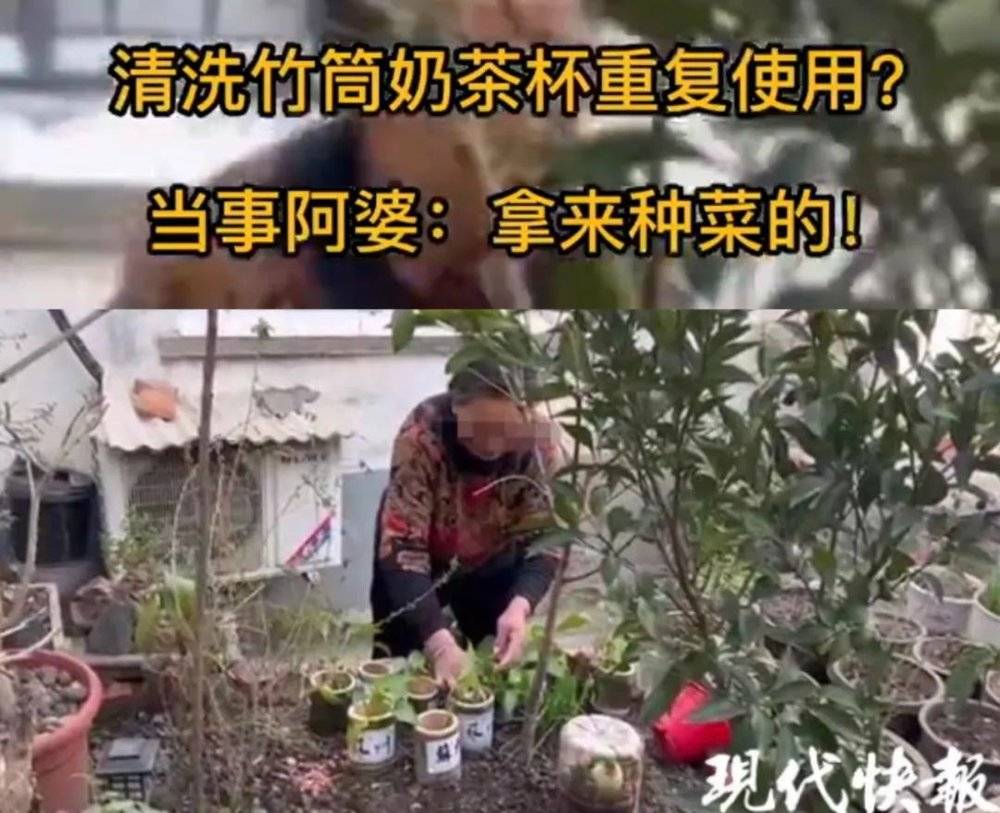 角子機：竹筒嬭茶，從“朋友圈土砲”到火得一塌糊塗