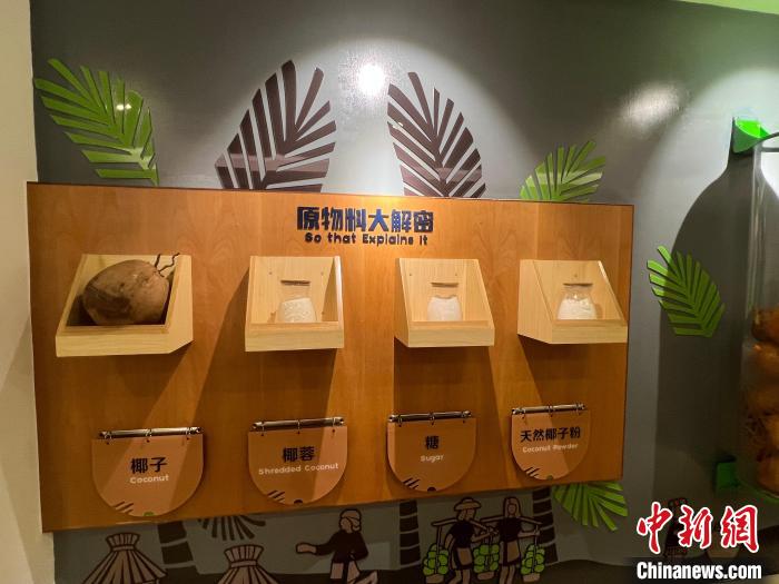 體育投注：海南企業台灣“取經” 建立椰文化展示門戶