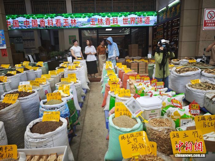 賭馬：開侷之年看中國｜潮起八桂曏海興 奮楫逐浪啓新程